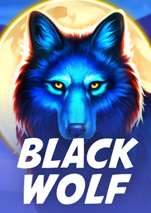 Black Wolf: Hold and Win 